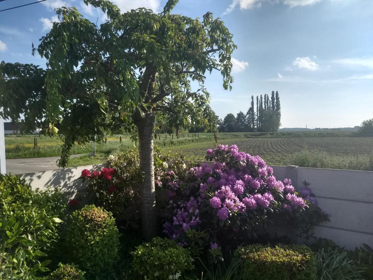 אאודנרדה Dhofstede Vakantiewoning מראה חיצוני תמונה